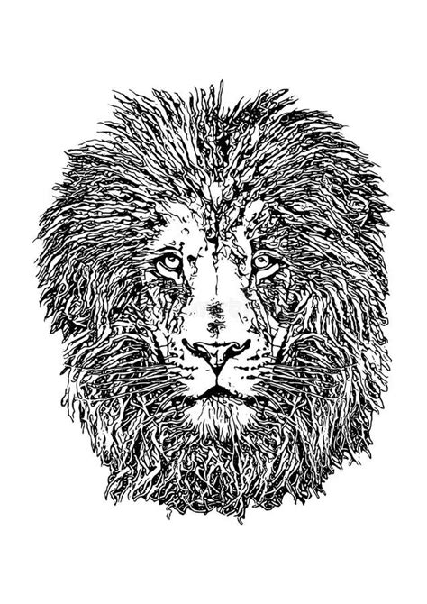 Lion Head Graphic Stock Vector Illustration Of Vector 147975861