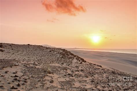 Sunset On Sand Dunes In Chaves Beach Praia De Chaves In Boavist
