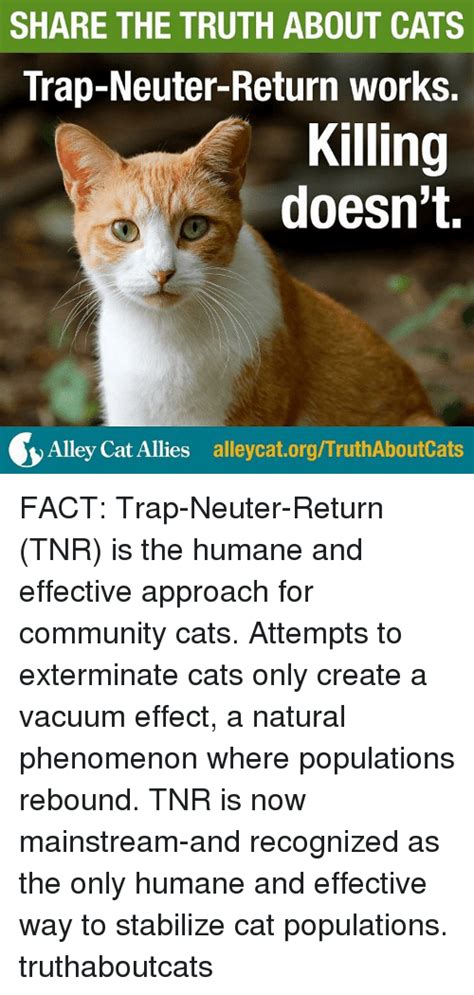 Share The Truth About Cats Trap Neuter Return Works Killing Doesnt