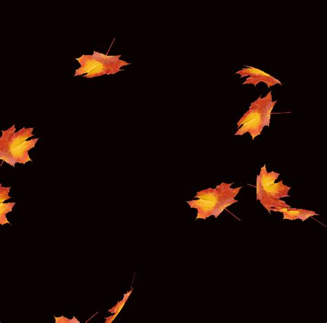 Show them an animated image to make them bisy while waiting. Блог Колибри: Animated falling leaves background gif