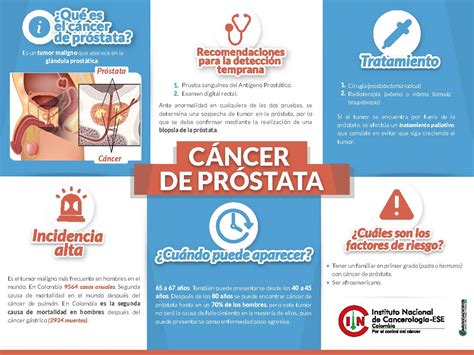 Infograf As Instituto Nacional De Cancerolog A