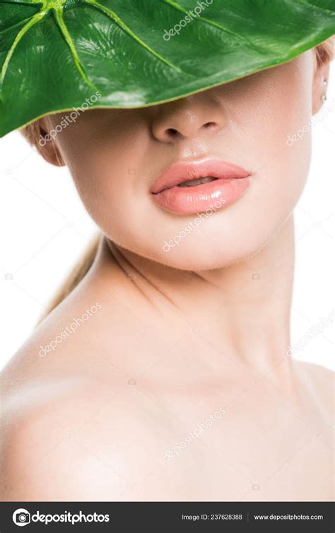 Hermosa Chica Desnuda Con Hoja Verde Tropical Cara Aislada Blanco fotografía de stock