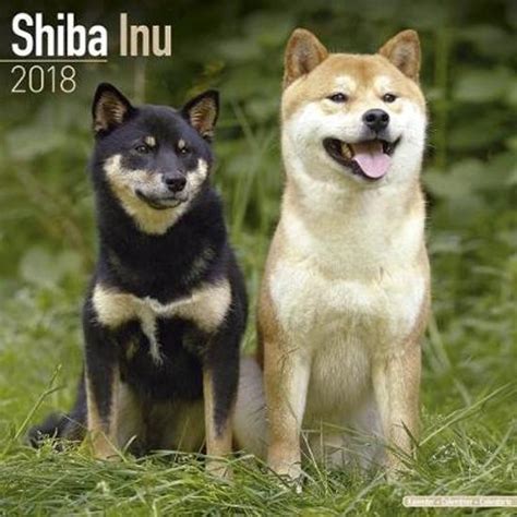 See our list of recommended wallets to store shiba inu. bol.com | Shiba Inu Calendar 2018