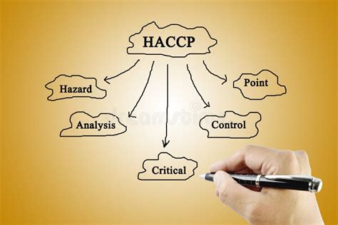 Haccp Critical Control Points
