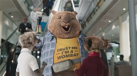 Comparethemarket Adds A Wombat To The Meerkat Cast Marketing Beat
