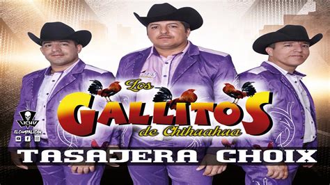 Popurri Ranchero Los Gallitos De Chihuahua En Vivo 2019 Youtube