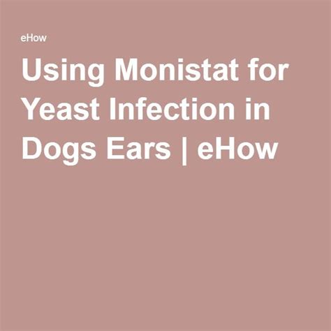 Using Monistat For Yeast Infection In Dogs Ears Cuteness Dog Yeast