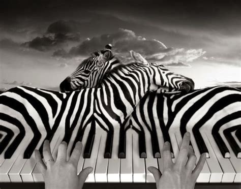 Clever Photo Manipulations By Thomas Barbéy A Thousand Words