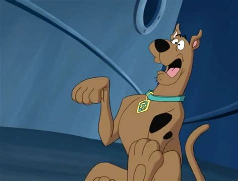 Pin By Giuseppedirosso On Warner Bros Animation Scooby Doo Scrappy