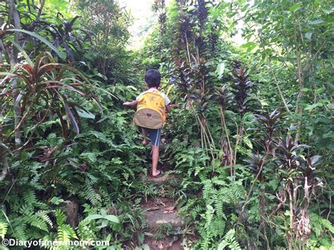 Field Trip Around The Home Garden In Sri Lanka Diary Of A New