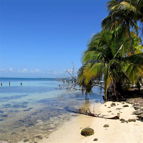 Tropical Island With Clear Waters Belize Tropical Island Flickr