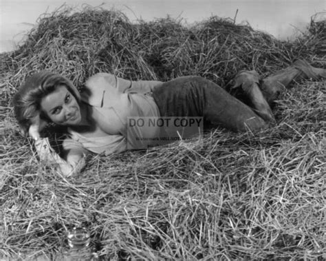 HONOR BLACKMAN AS Pussy Galore In Goldfinger 8X10 Publicity Photo