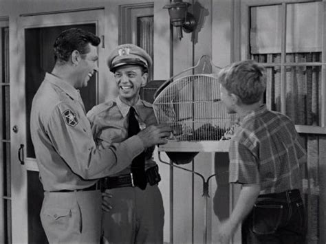 The Andy Griffith Show Opie The Birdman Tv Episode 1963