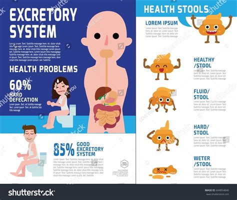 Constipated Infographic Elements Excretory System Health Stock Vector