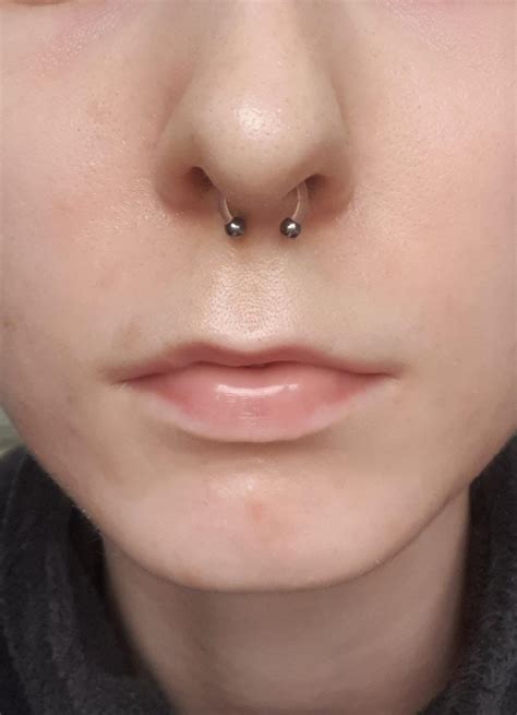 Got My Septum Done On My Slightly Crooked Nose It Looks Annoyingly