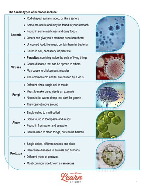 Microbes Free Pdf Download Learn Bright