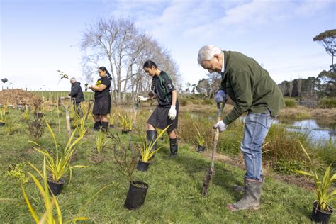 New Plants For Puhinui Reserve As Auckland Council Increases Tree