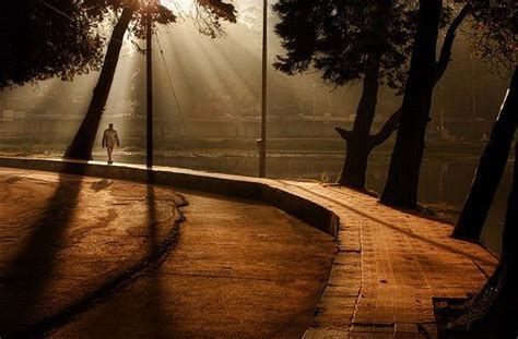 40 Outstanding Golden Hour Photos For Your Inspiration Photography