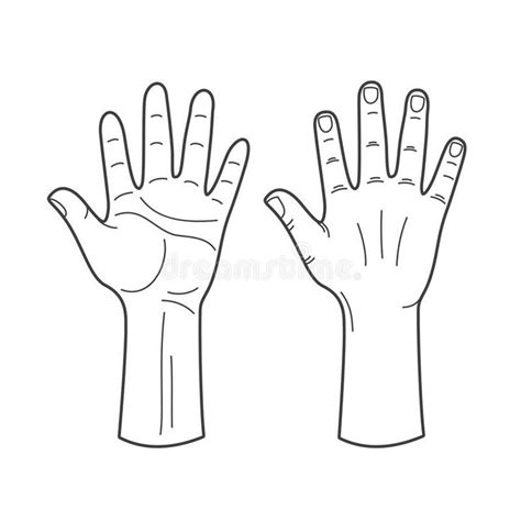 Vector Hands Illustration In Black And White Vector Illustration Hand