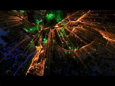 The area is actually known as 海珠園 (penang hokkien: Best of Penang: Penang Avatar Secret Garden - YouTube