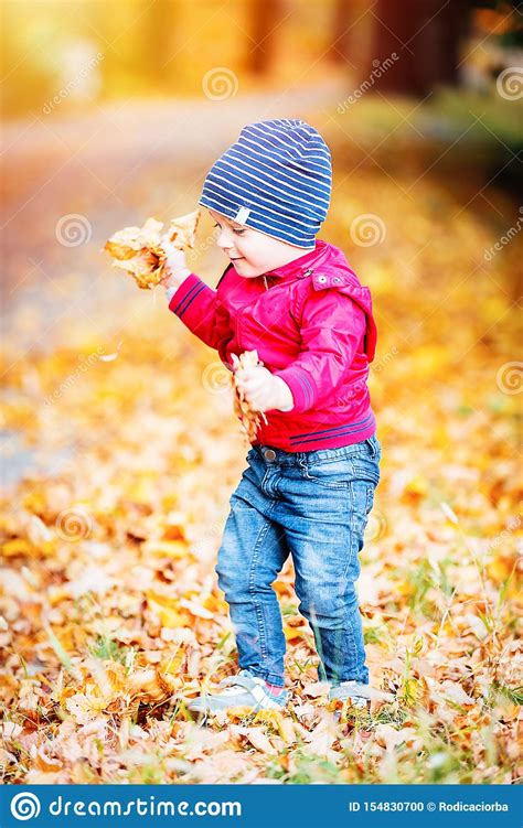Two Years Old Toddler Have Fun Outdoor In Autumn Park Stock Photo