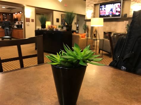 Hampton Inn Colby Updated 2022 Prices Reviews And Photos Ks Hotel