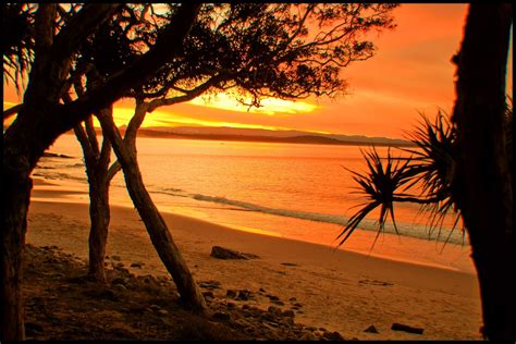 Beach Sunset In Noosa Queensland Australia Roberto Portolese