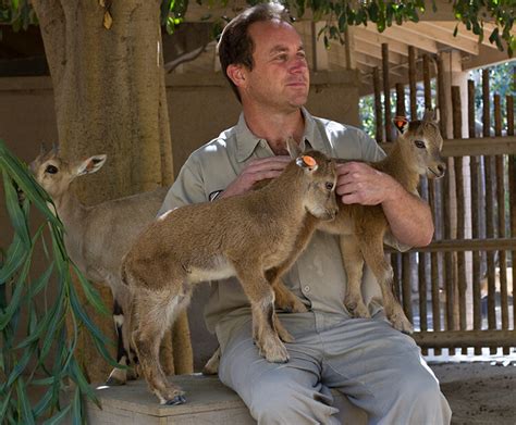 Sometimes we will have a last minute happy hour so if you don't mind last minute events jump on our event list for that and see if we spring one on you! Happy little hooves | San Diego Zoo Kids
