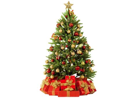 11 Awesome And Dazzling Christmas Tree Lights Ideas ...