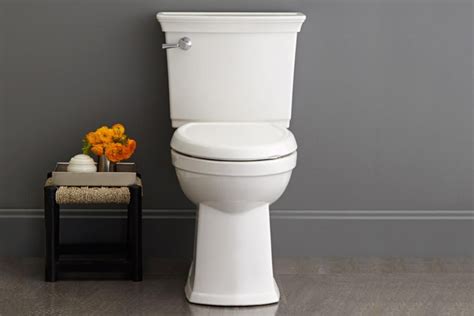 Top 10 Best Kohler Cimarron Toilet Reviews Your 2019 Guide