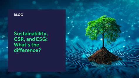 Sustainability Csr And Esg Whats The Difference K3