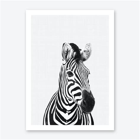 Black And White Art Prints And Posters Free Shipping And Returns Shop