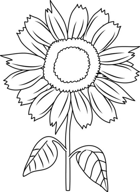 sunflowers clipart to color - Clipground