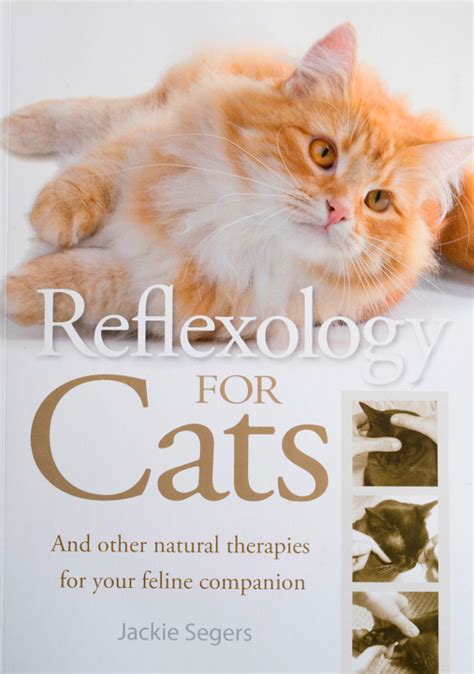 Reflexology For Cats Jackie Segers