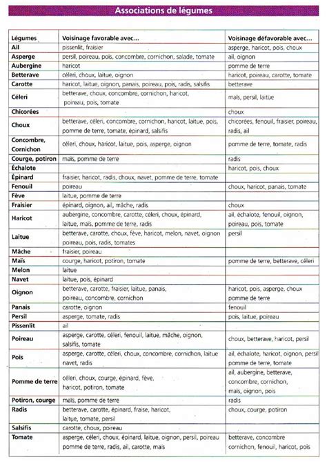 D Couvrez Les Bonnes Associations De L Gumes Pour Votre Potager Association De L Gumes