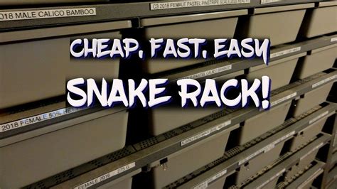 How To Build A Cheap Fast And Easy Snake Rack YouTube