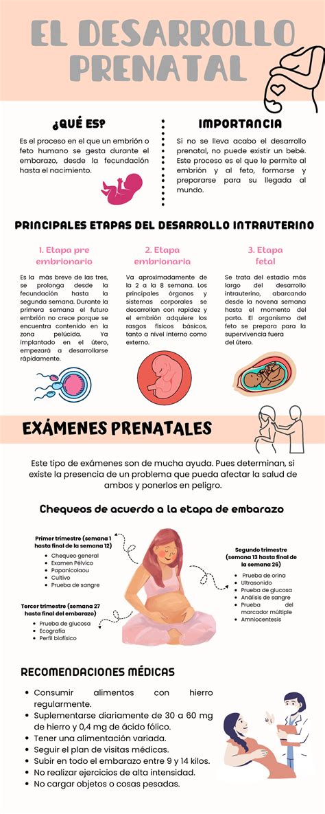S05 Infografía Desarrollo Prenatal Tercer Trimestre Semana 27