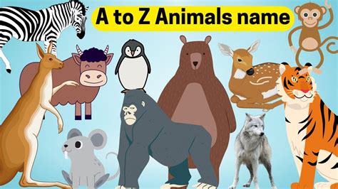 A To Z Animals Name Learn Alphabets With Their Animals Name Animals