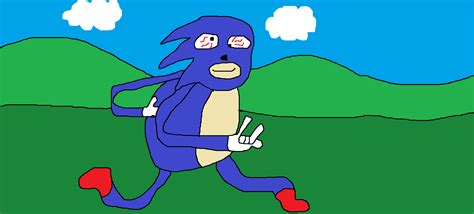 Mlg Sonic By Xmoonmanx On Newgrounds