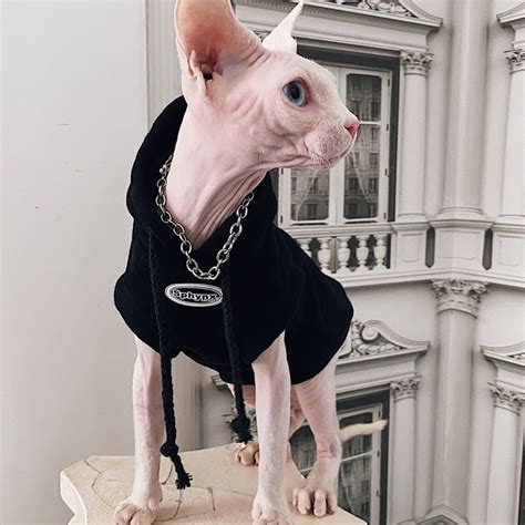 Cotton Hairless Cat Clothes Sphynx Cat Clothing Hooded Smile Etsy