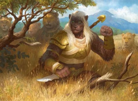 Play Your Next 5e Dandd Game As A Pride Warrior Leonin Nerdarchy