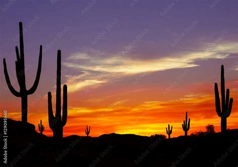 Wild West Sunset With Cactus Silhouette Stock Foto Adobe Stock