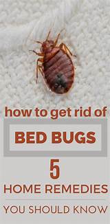 Images of Home Remedies For Termites Outside