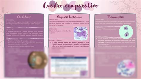 Solution Cuadro Comparativo De Infecciones Vaginales Studypool