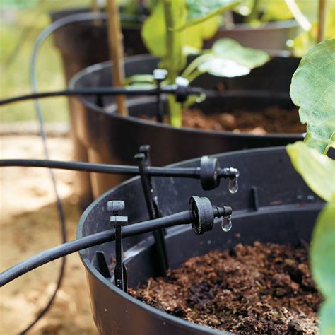 Ten Good Reasons For Using Drip Irrigation Lee Valley Tools