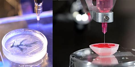 3d Bioprinting For Medical And Enhancement Purpose Geeetech Blog