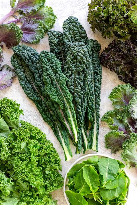 Kale 101 Health Benefits And Types Types Of Kale Kale Kale Plant