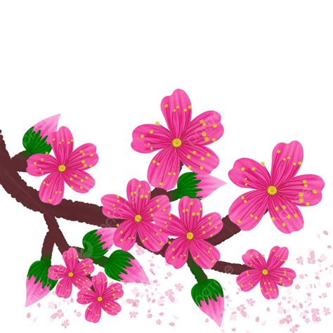 Cherry Blossom Pink Sakura Flowers Pink Png Transparent Clipart