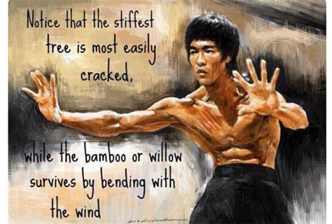 Pin by Monica Virag on ART | Bruce lee quotes, Bruce lee, Fight back quotes