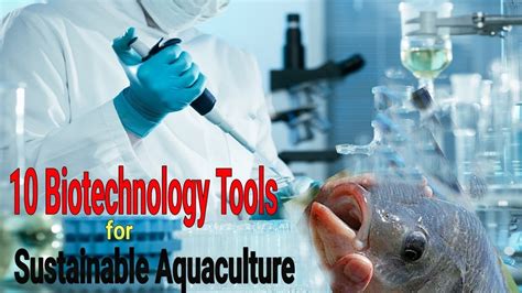 Top 10 Biotechnology Tools For Sustainable Aquaculture Youtube